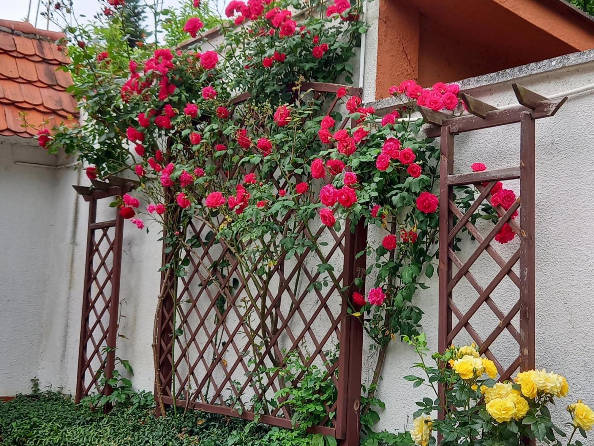 Apartament 2-Pokojowy 55 M2, Kolo Zoo, Hali Stulecia Wroclaw Dış mekan fotoğraf
